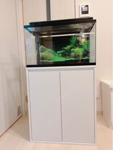 【譲渡先決まりました】GEX 60cm水槽台セット 濾過 水槽 収納家具 キャビネット