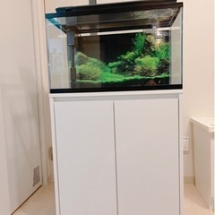 【譲渡先決まりました】GEX 60cm水槽台セット 濾過 水槽 ...