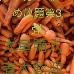 残りわずか 第3弾 訳あり人参🥕詰め放題200円