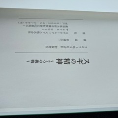 スギの精神の画像