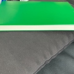 スギの精神の画像