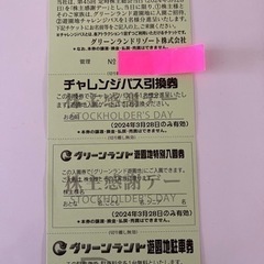 熊本★グリーンランドチケット★ テーマパーク/遊園地
