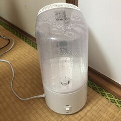 アイリスオーヤマ　加熱式加湿器　IRIS KSK-260D2-C...