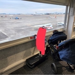 2人乗りベビーカー 最終値下げ