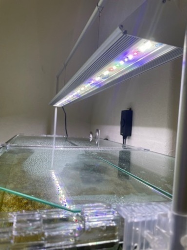 アクロ　ＴＲＩＡＮＧＬＥ　ＬＥＤ　ＧＲＯＷ　９００