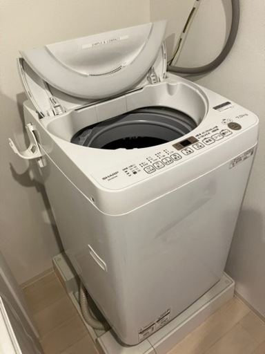 家電 生活家電 洗濯機