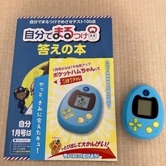 【受付終了】チャレンジ3年生付録もいろいろの画像
