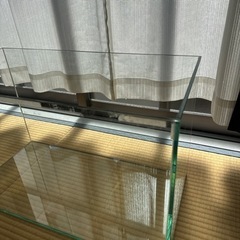 60cm ガラス水槽の画像