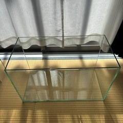 60cm ガラス水槽の画像