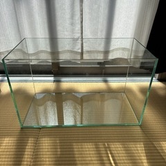 60cm ガラス水槽の画像