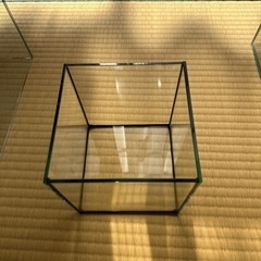 ガラス水槽の画像