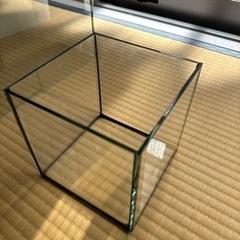 ガラス水槽の画像