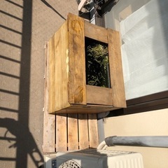 交渉中　自作ビオトープ　まるごと