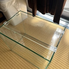 フレームレス、ガラス水槽の画像