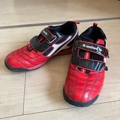 東陽町　24.5  シューズ　x-united ゼビオ