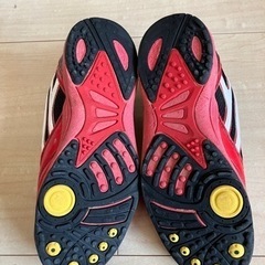 東陽町　24.5  シューズ　x-united ゼビオの画像