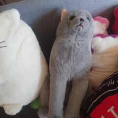おもちゃ おもちゃ ぬいぐるみの画像