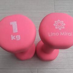 かわいいダンベル 1kg×2個 箱付き 美品の画像
