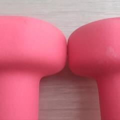 かわいいダンベル 1kg×2個 箱付き 美品の画像