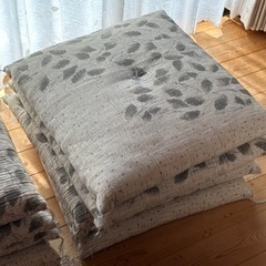 【決まりました】夏用座布団10枚の画像