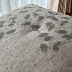 【決まりました】夏用座布団10枚の画像