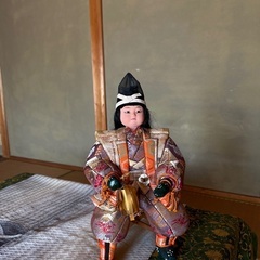 ケースがありません。