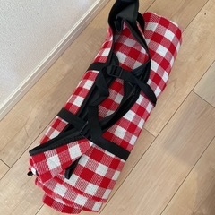 レジャーシート　秋葉原から徒歩5分　　　の画像