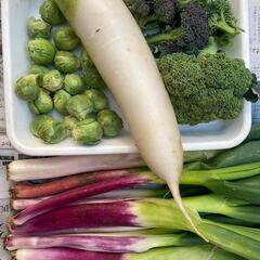 無農薬野菜のセット