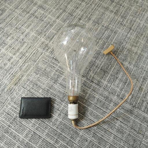 (動作確認済) 大きなアンティーク電球