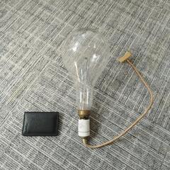 (動作確認済) 大きなアンティーク電球