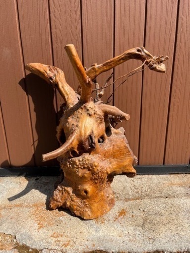 流木 骨董品 オブジェ