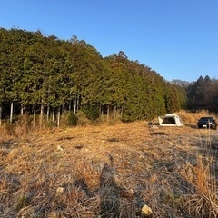 兵庫県丹波篠山市の約1千坪の土地、キャンプ場やドッグラン用地に