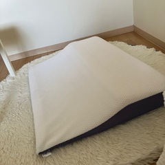 True. Sleeperトゥルースリーパー枕家具 寝具 マットレス