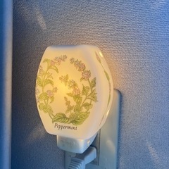 生活の木　アロマポット　コンセント直差しタイプ