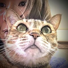 初めての方本日限りの特別価格！！【オラクルカード】ヘブンリーボディーズアストロロジーで占います！の画像