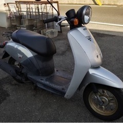 バイク HONDA  トゥデイ　実動　4サイクル　原付　メットイ...