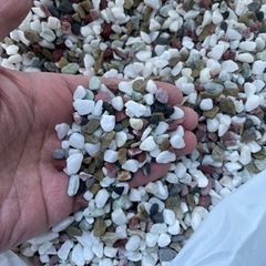 金魚用　砂利の画像