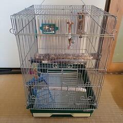 鳥かご
