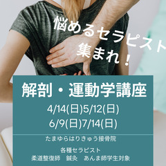 解剖学セミナー総集編☆セラピスト☆治療家☆柔整師☆鍼灸師☆マッサ...