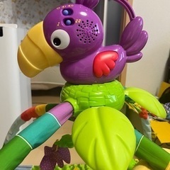 フィッシャープライス　レインフォレスト・デラックスジムII  お...