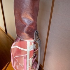 キャディバッグの画像