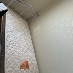ベット