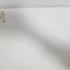 家具 机 ダイニングテーブル 勉強机の画像
