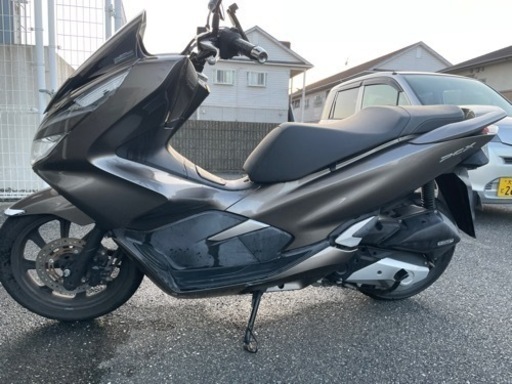 PCX125 JF81 勝手に見学可能