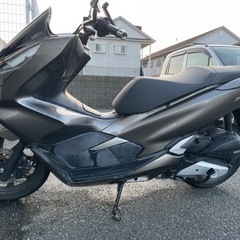 PCX125 JF81 勝手に見学可能