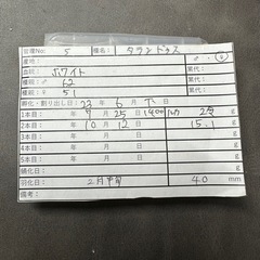 【成虫】 タランドゥスオオツヤクワガタ ホワイトアイ メス単品 40mmの画像