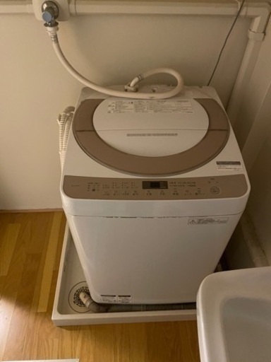 家電 生活家電 洗濯機