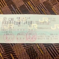 青春18きっぷ　2回分