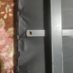無料　腹筋ベンチの画像