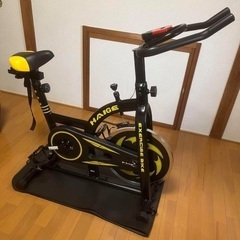 HAIGE  エアロバイク　使用少なめ